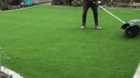 Artificial Grass