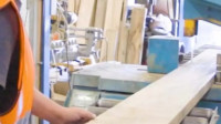 Timber Cutting