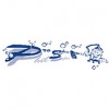 Pro Shine Professional Cleaning Services