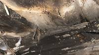 Wet Rot Treatment
