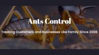 Ants Control